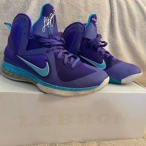 LeBron 9 'Summit Lake Hornets"